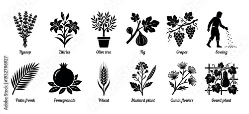 Collection of black plant and agriculture icons including hyssop, lily, olive tree, fig, grapes, pomegranate, and a farmer sowing seeds, isolated on a white background