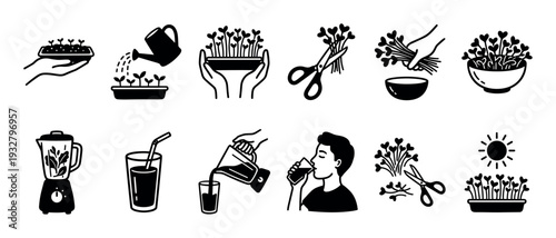 Black and white icon set showing the microgreens growing process from seed to smoothie, including watering, harvesting, and blending, isolated on a white background