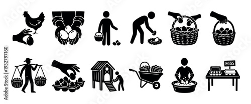Black silhouette icon set showing egg farming and production process from chicken to market, including collecting, washing, and selling, isolated on a white background