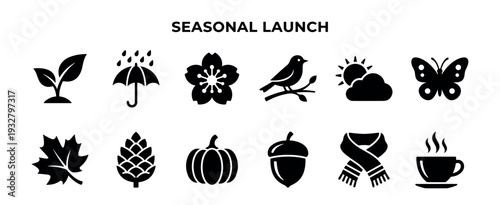 Collection of black seasonal glyph icons representing the four seasons for a product launch concept, isolated on a clean white background with simple text