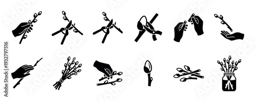 Set of black pussy willow icons showing hands cutting and arranging branches for a spring bouquet in a vase, a minimalist glyph collection isolated on a white background