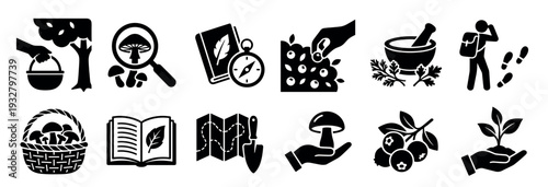 Black glyph icon set for foraging, hiking, and nature exploration, featuring symbols of mushroom hunting, berry picking, navigation, and herbalism, isolated on a white background