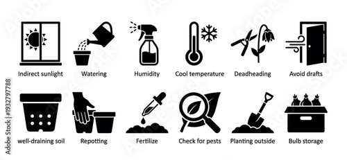 Comprehensive set of black silhouette plant care icons illustrating various gardening tips like watering, repotting, fertilizing, and pest control, presented on a clean white background