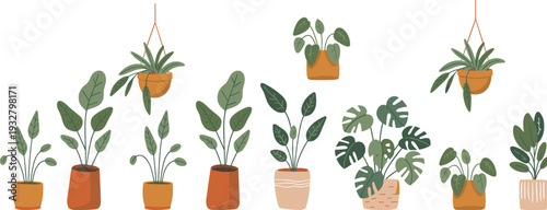 Collection of indoor potted and hanging houseplants, modern flat vector illustration set, decorative home greenery isolated on light background