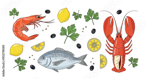 Fresh Seafood Ingredients Illustration