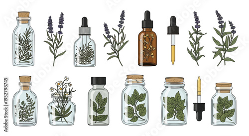 Natural Herbal Extracts Illustration