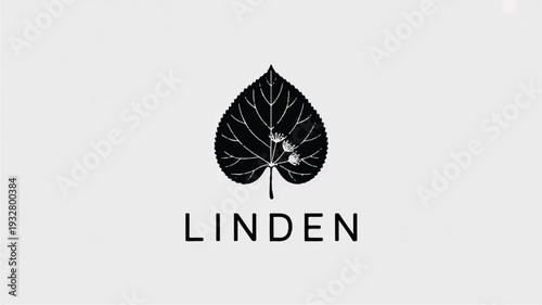 A minimalist black and white logo design featuring a linden leaf silhouette (4)_traced