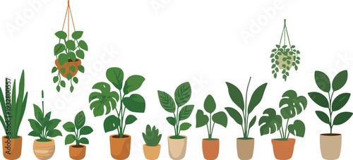 Set of tropical indoor potted and hanging plants, modern flat vector houseplant collection, decorative home greenery isolated on light background