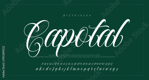 Script Brush Font Type Font lettering handwritten 