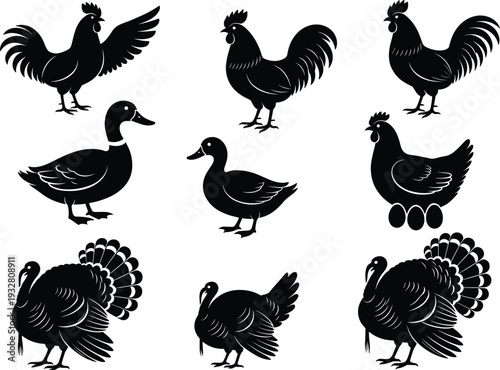 Farm poultry silhouette collection with rooster, hen, duck and turkey birds isolated in black, vector illustration set on white background