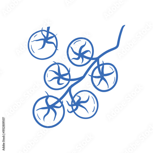 Hand drawn tomatoes growing on a vine. Minimal vegetable vector illustration for organic food branding, grocery packaging, market design.