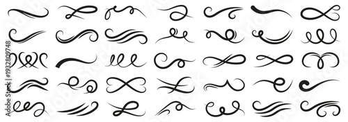 Decorative flourish swirl collection. Elegant calligraphic line ornaments. Classic black decorative elements isolated on white background