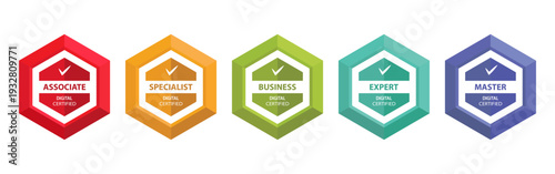 Digital certification badge set. Hexagonal level icons with professional labels. Color business achievement symbols isolated