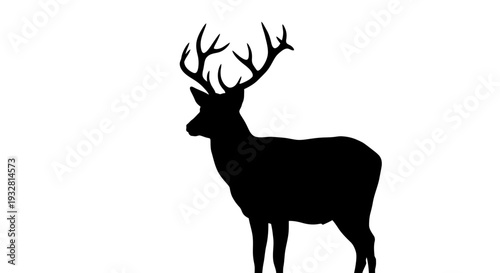 Silhouette of a male deer standing.