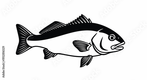 Black and white illustration of a reef fish