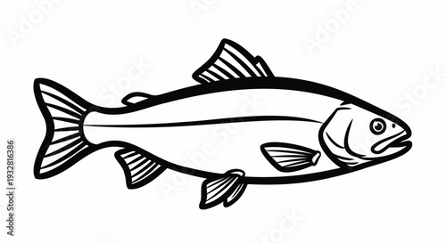 Black and white illustration of a salmon fish freshwater fish