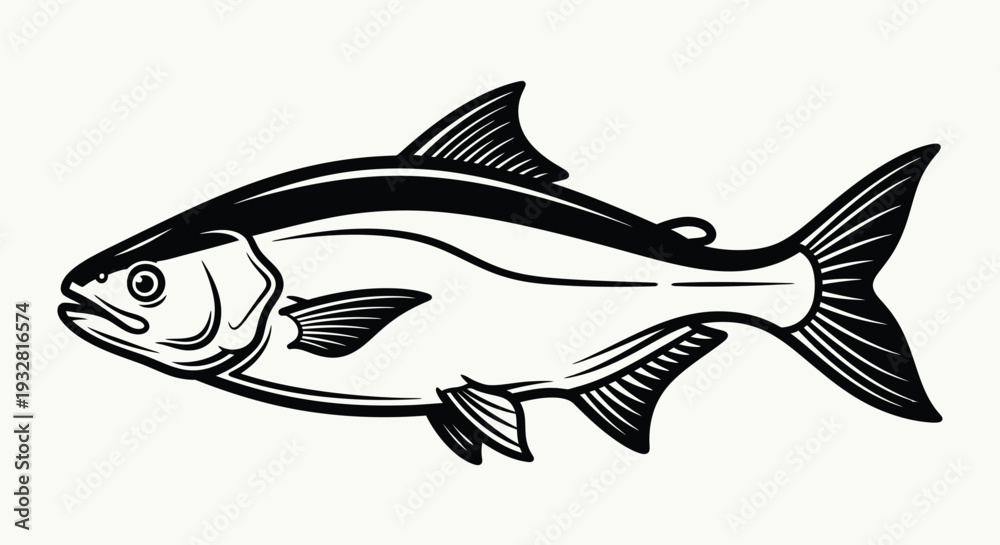 Fototapeta premium Black and white illustration of a tarpon fish saltwater fish