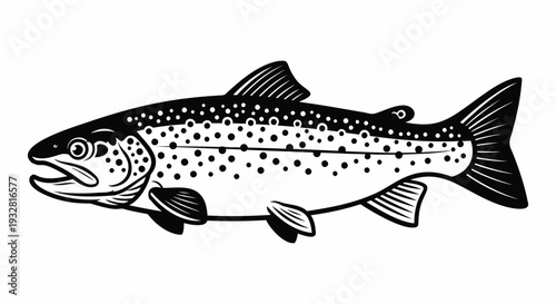 Black and white illustration of a speckled trout on a white background