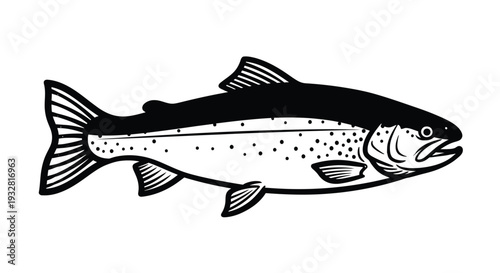 Black and white salmon fish with shadow on white background