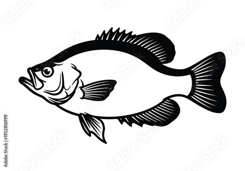 Black and white sunfish illustration on white background