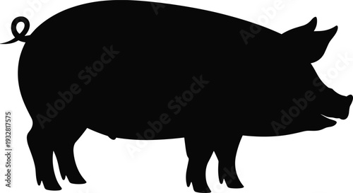 Pig silhouette isolated on white background, domestic farm animal side view, black vector illustration icon representing livestock, agriculture and rural farming concept.