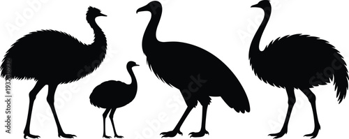 Black ostrich silhouettes set showing adult and young birds, African wildlife animal icons, flightless bird shapes for nature design, zoo illustration, and safari themed graphics