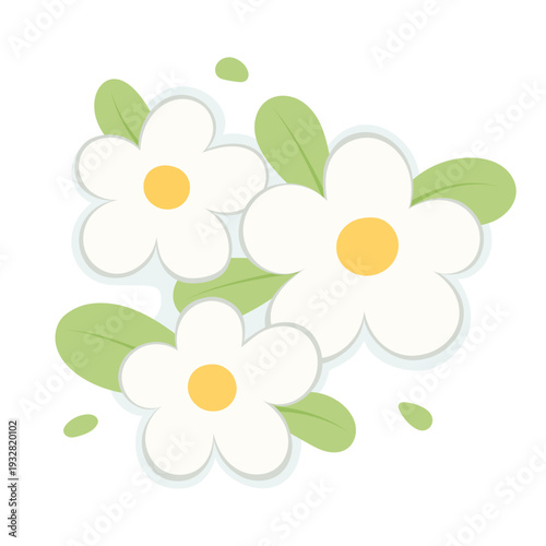 Cute white flower cluster with green leaf. Flat botanical vector illustration for spring design, nursery print, greeting card, sticker, wedding invitation and eco branding.