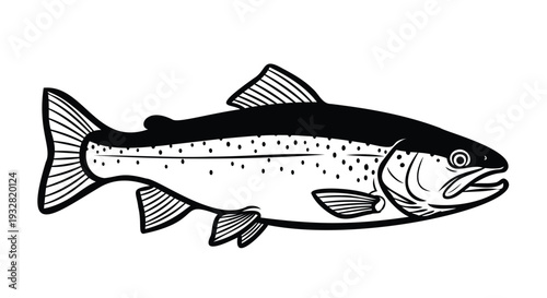 Black and White Trout Fish Illustration salmon freshwater