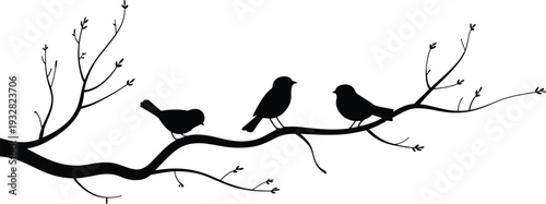 Black bird silhouettes perched on bare tree branch isolated on white background, minimalist wildlife illustration for nature decor, woodland design and printable wall art