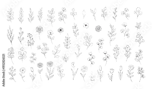 A collection of delicate botanical outlines showcasing various flowers and leaves in a dashed line style, perfect for elegant wedding invitations, greeting cards, and graphic design decor.