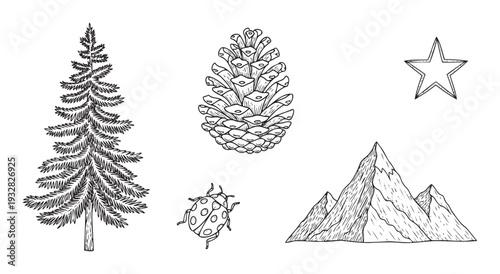Illustrated natural elements and symbols featuring a textured fir tree, detailed pine cone, elegant star, charming ladybug, and majestic mountains, suitable for seasonal decorations,