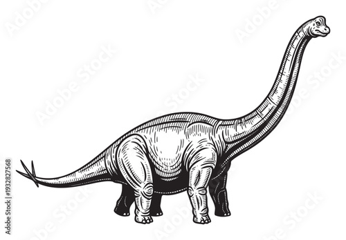 Majestic long necked sauropod dinosaur in a vintage engraved style perfect for science publications, natural history displays, or educational entertainment projects.