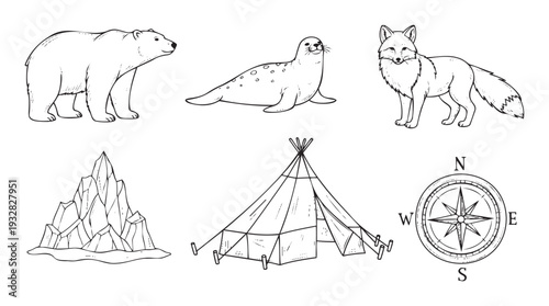 A captivating collection of arctic wilderness illustrations featuring a polar bear, seal, fox, majestic iceberg, cozy tent, and navigation compass, perfect for educational materials and