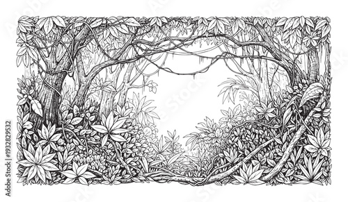 Detailed ink drawing of a tropical jungle border with lush vegetation and winding lianas, perfect for nature themed book covers or educational materials