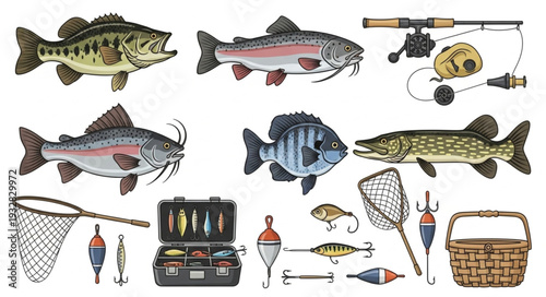 Various fish species and fishing equipment, a comprehensive collection of angling essentials.