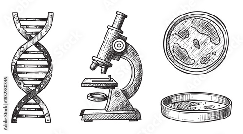 A collection of scientific essentials including DNA double helix, a powerful microscope, and petri dishes with cultures, ideal for educational publications or laboratory themed presentations