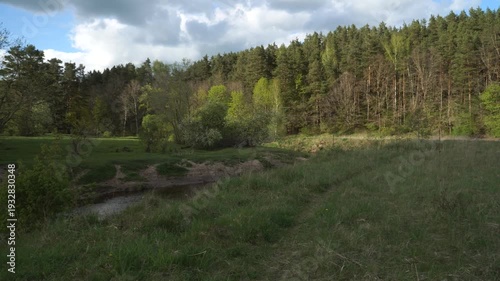 Wallpaper Mural Camera pans across a spring landscape from a grassy meadow toward a dense pine-covered hillside. Sunlight shifts through dramatic clouds, illuminating fresh green foliage and a winding little river.  Torontodigital.ca
