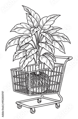 Potted houseplant with lush foliage resting within a metal supermarket shopping cart symbolizing home gardening, plant care, retail experiences, and ecological consumer choices for various
