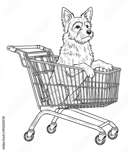 Fluffy terrier dog patiently sitting upright in a metal grocery shopping cart, perfect for use in advertisements for petfriendly retail, consumer goods, or animal care promotions.