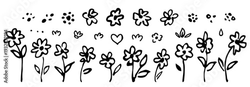 Small flowers on the stem, dots, spots, doodle style. Nature and plants, twigs. A hand-drawn vector set of floral elements. Drawing in black outline, sketch in ink.