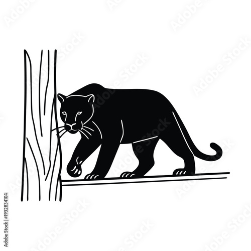 Vector black panther illustration