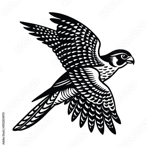 Black and white falcon vector illustration