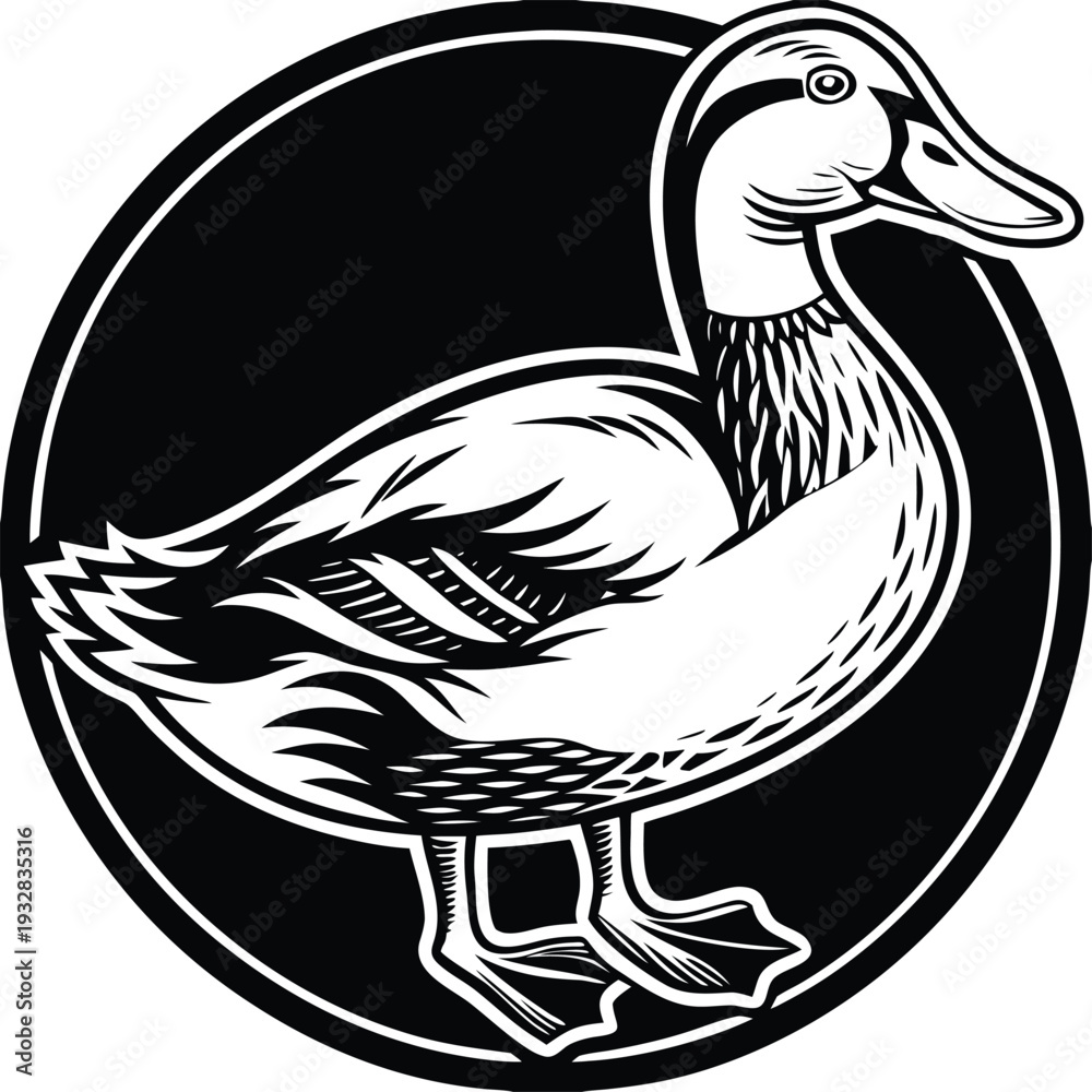 Fototapeta premium Vector duck illustration in black and white