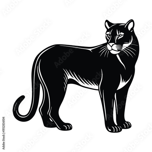 Black panther vector illustration