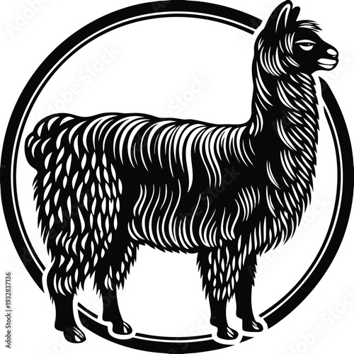 Vector llama icon in circle frame