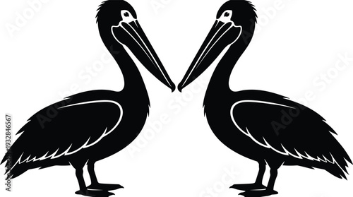 A high quality black vector silhouette illustration featuring two large pelican water birds facing each other in a symmetrical composition isolated on white background.
