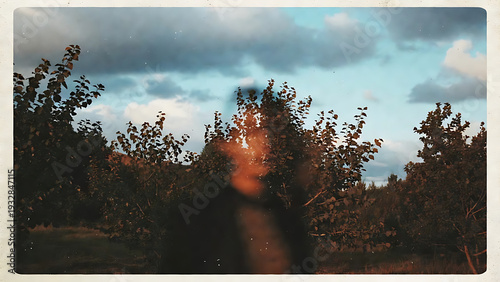 Wallpaper Mural Portrait blurred figure standing outdoors among trees under cloudy blue sky, vintage film frame with dreamy soft focus mood Torontodigital.ca