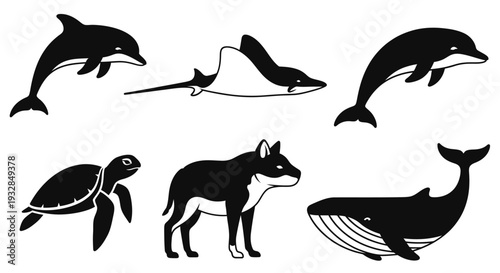 Diverse Animal Silhouettes Collection: Marine and Terrestrial Wildlife Icons