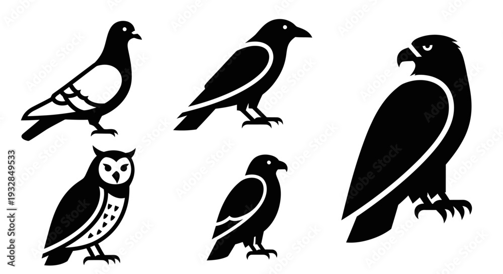 Obraz premium Diverse Bird Silhouettes Set: Pigeon, Crow, Owl, and Hawk Icons