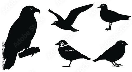 Diverse Bird Silhouettes Set: Eagle, Flying, and Perching Birds Collection